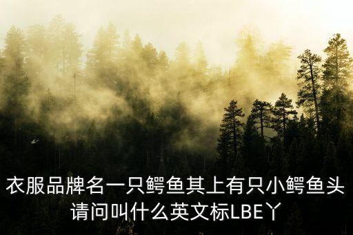 衣服品牌名一只鱷魚其上有只小鱷魚頭請問叫什么英文標LBE丫