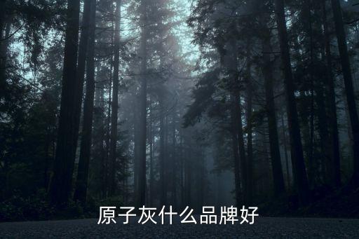 原子灰什么品牌好