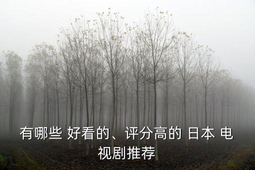 好看的日本電視劇,白程文莎首次參加電視劇集會議