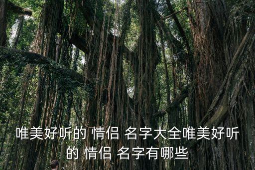 情侶的名字,你的青春有我嗎?回答（十）