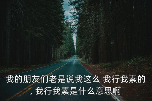我行我素是什么意思,不管別人怎么說他們還是一如既往的做