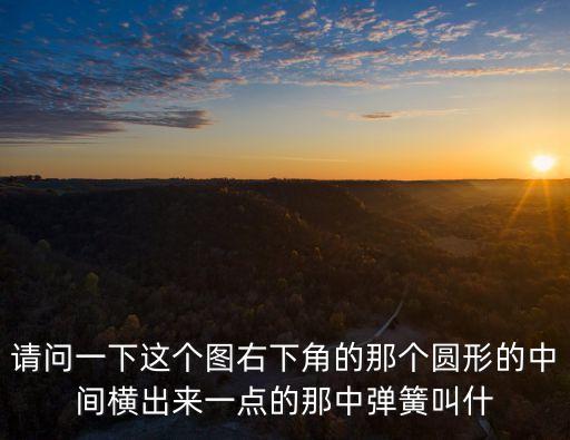 請問一下這個圖右下角的那個圓形的中間橫出來一點的那中彈簧叫什