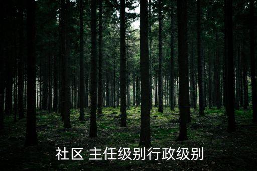 社區主任,社區工作者主要職責是協助居委會管理社區事務