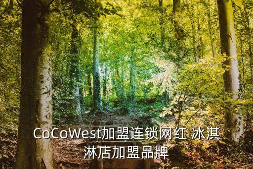 CoCoWest加盟連鎖網(wǎng)紅 冰淇淋店加盟品牌
