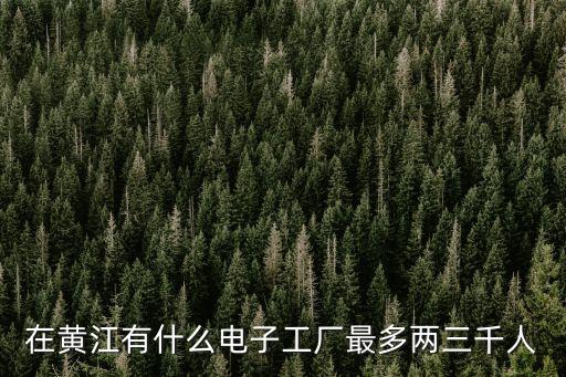 在黃江有什么電子工廠最多兩三千人