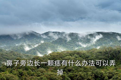 鼻子上的痣可以去掉嗎