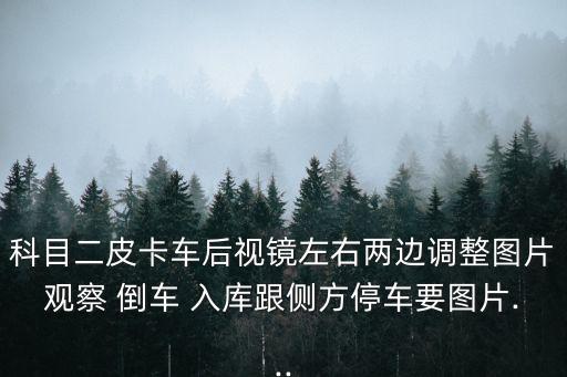 科目二皮卡車后視鏡左右兩邊調整圖片觀察 倒車 入庫跟側方停車要圖片...