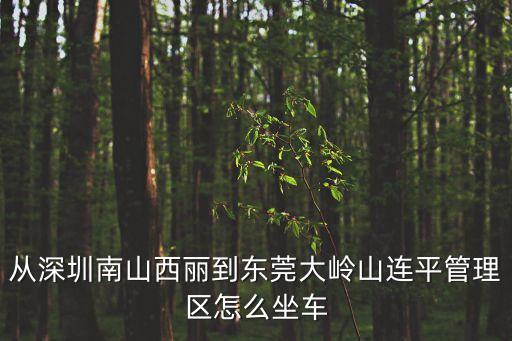 從深圳南山西麗到東莞大嶺山連平管理區怎么坐車