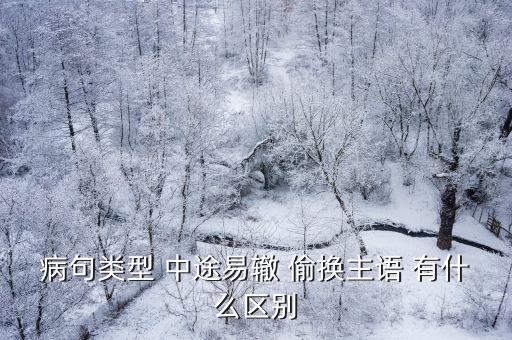 中途易轍，病句類型 中途易轍 偷換主語 有什么區(qū)別