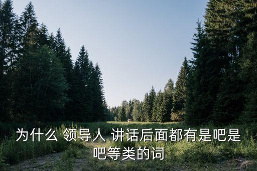 領導人講話,對就是勝券在握!選前發表演講