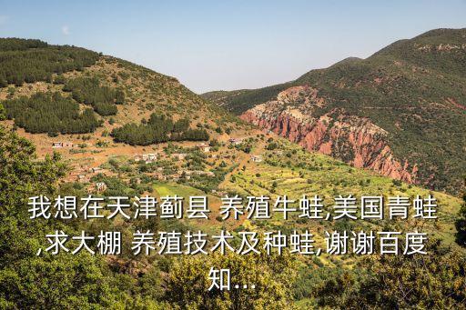 我想在天津薊縣 養殖牛蛙,美國青蛙,求大棚 養殖技術及種蛙,謝謝百度知...