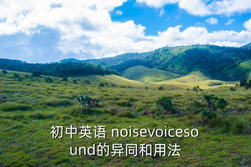 初中英語(yǔ) noisevoicesound的異同和用法