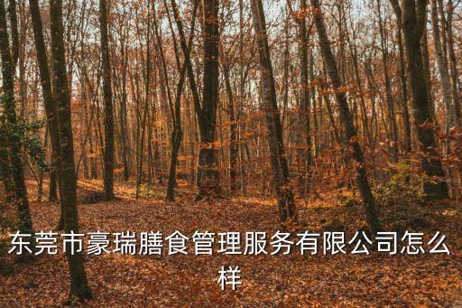東莞市豪瑞膳食管理服務有限公司怎么樣