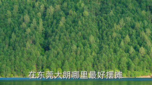 東莞大朗有幾個夜市擺地攤的，在東莞大朗哪里最好擺攤