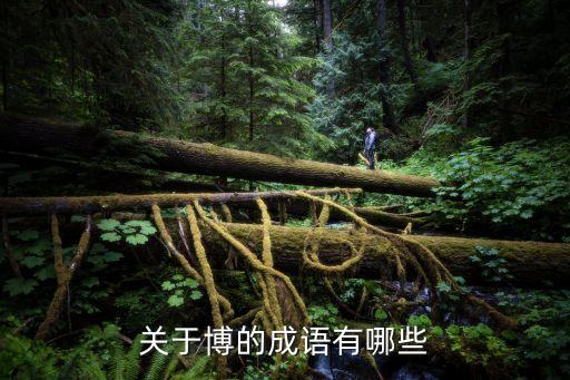 關于博的成語有哪些