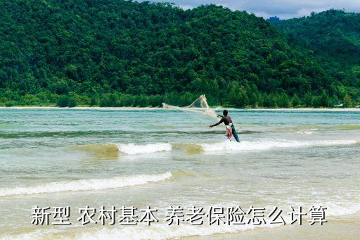 農(nóng)村基本養(yǎng)老保險(xiǎn),農(nóng)村養(yǎng)老可以通過(guò)以下方式付款