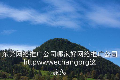 東莞網(wǎng)絡(luò)推廣公司哪家好網(wǎng)絡(luò)推廣公司httpwwwechangorg這家怎
