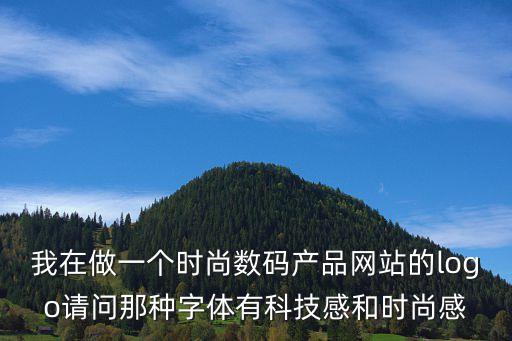 我在做一個時尚數碼產品網站的logo請問那種字體有科技感和時尚感