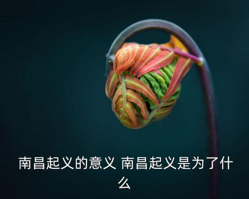  南昌起義的意義 南昌起義是為了什么