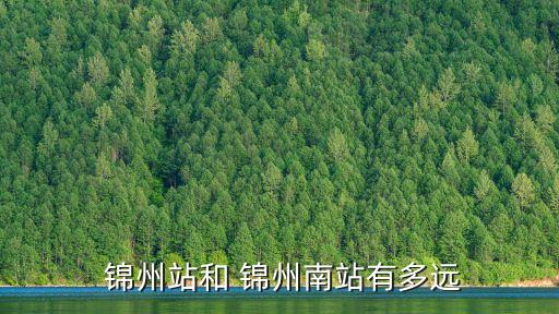 錦州大弟,從北站到錦州南站有多遠?