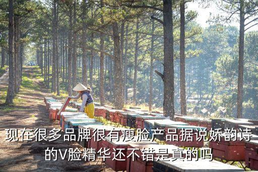 現在很多品牌很有瘦臉產品據說嬌韻詩的V臉精華還不錯是真的嗎