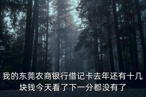 我的東莞農商銀行借記卡去年還有十幾塊錢今天看了下一分都沒有了