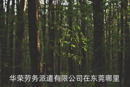 華榮勞務派遣有限公司在東莞哪里