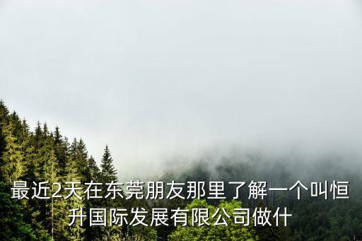 東莞恒升醫藥器械公司排名第幾，最近2天在東莞朋友那里了解一個叫恒升國際發展有限公司做什