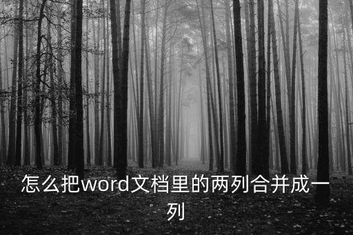 怎么把word文檔里的兩列合并成一列