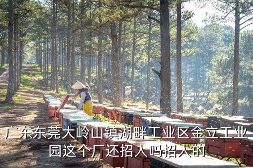 廣東東莞大嶺山鎮湖畔工業區金立工業園這個廠還招人嗎招人的