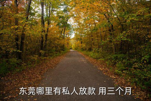 東莞哪里有私人放款 用三個月
