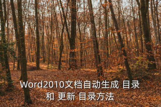 Word2010文檔自動生成 目錄和 更新 目錄方法