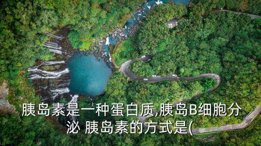 胰島素是一種,胰島素被稱為大分子蛋白質有助降血糖