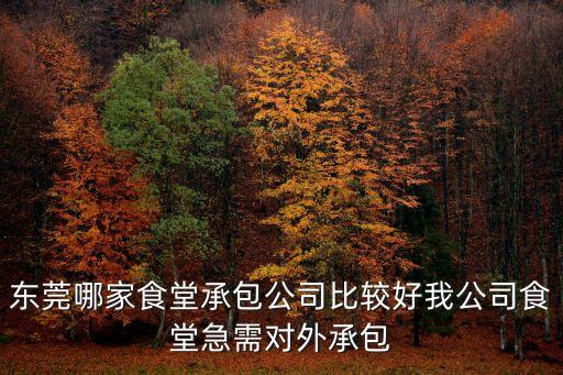 東莞塘廈可靠食堂承包哪家好，東莞食堂承包哪家好