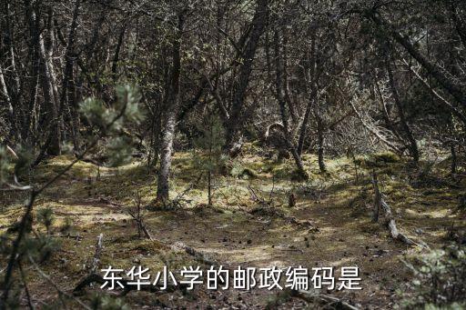東華小學的郵政編碼是