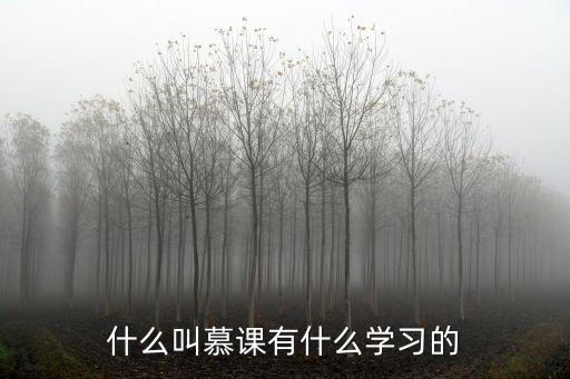 什么叫慕課有什么學習的