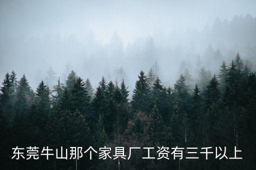 東莞牛山那個家具廠工資有三千以上