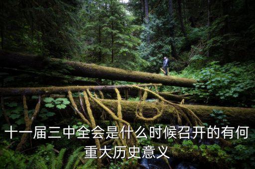 十一屆三中全會(huì)是什么時(shí)候召開的有何重大歷史意義