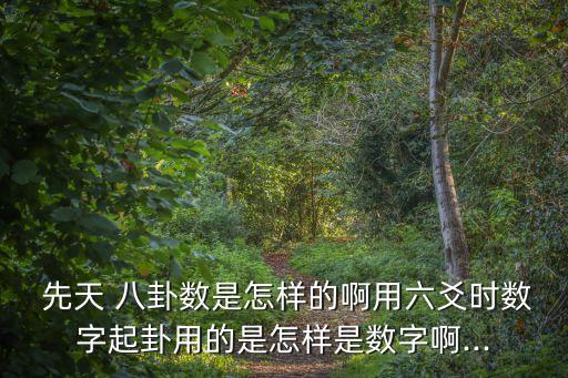  先天 八卦數是怎樣的啊用六爻時數字起卦用的是怎樣是數字啊...