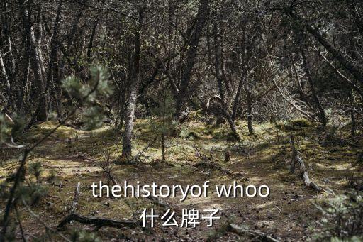 whoo是什么牌子,whoo之后的明星產品嫩膚霜系列