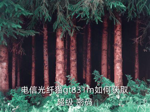  電信光纖貓gt831m如何獲取 超級 密碼