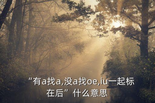 “有a找a,沒a找oe,iu一起標(biāo)在后”什么意思