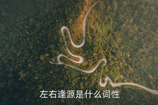  左右逢源是什么詞性