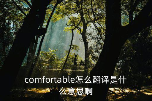 comfortable，comfortable怎么翻譯是什么意思啊