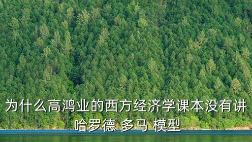 哈羅德多馬模型,哈羅德-羅馬成長模型早期經濟學家提議建立