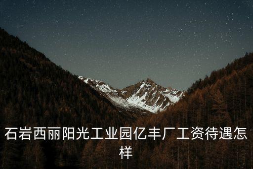 石巖西麗陽光工業(yè)園億豐廠工資待遇怎樣