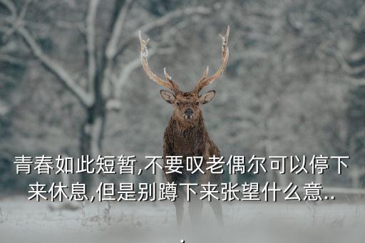 青春如此短暫,不要嘆老偶爾可以停下來休息,但是別蹲下來張望什么意...