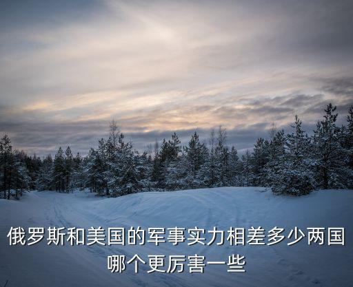 美國軍力,美國海軍碾壓俄羅斯空軍陸軍占優勢