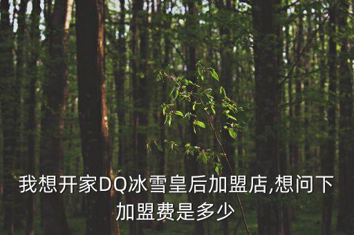 怎么加盟dq,動漫大道加盟連鎖店加盟費不高