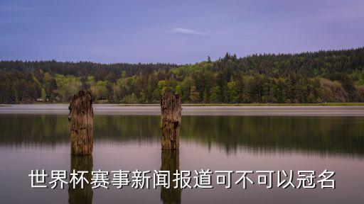 世界杯賽事新聞報道可不可以冠名